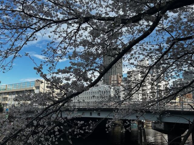 今日の東京の天気は
☔後☀️
なので仕事はお休み！スタッフにどこか行こうか！？と言ったのですが、、みんなパーラーへ😭
1人残されたので散歩しながら、ほけーっとSNSを見ていたら、マーボー兄さんの素敵な投稿発見💡うんうん！と1人頷きながらモチベ上がってます！
もう素敵なのでTTPしちゃいます！

自分が泊まっているホテルの周りは桜満開でとっても綺麗です🌸
短い命ですが、ソメイヨシノが力強く咲き誇ってます😊✨✨✨
そして、たくさんの方々が写真を撮っている姿を見て僕もこの桜🌸みたくたくさんの人に愛される人間になれたらいいなぁって、ポカポカ陽気の中思いました☺️💓

ある本📕にこんな事が書いてあった！みたいです！！

「なぜ人から好かれるのか」

⚫︎ 真顔より『笑顔」

⚫︎ 武勇伝より『失敗談』

⚫︎ 当たり前より『ありがとう』

⚫︎ 責めることより『褒めること』

⚫︎ 妬みよりも『称賛』

⚫︎ 物よりも『共に体験」

⚫︎ 疑うことより『信じること』

⚫︎ ロジックよりも『共感』

⚫︎ 完璧を演じず『弱みを見せる』

⚫︎ 話役よりも『聞き役』

⚫︎ ギブ＆テイクより『ギブ&ギブ』

素敵！！自分もまだまだまだまだ、出来ていませんが、心❤️からできるよう、常に意識していこうと思います！

桜のようにたくさんの人に愛される人生を送るぞーーーー🌸💖

マーボー兄さんいつも学びありがとうございます😭

#株式会社ユウ塗装
#painter
#札幌ユウ塗装
#ヒゲ社長
#塗装屋
#屋根塗装
#外壁塗装
#内装塗装
#エージング塗装
#一般住宅塗装
#吹き付け塗装
#札幌市北区塗装屋
#YOUPEINT&co.
#みんなのペンキ屋さん
#塗装業
#塗装男子
#塗装女子
#造形モルタル 
#魏岩
#佐官
#ジョリパット
#車塗装
#雨漏り鑑定士
#日本塗装名人社
#今日も楽しくお仕事
#顔晴っていきましょう